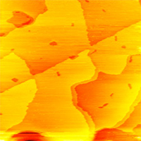 マイカ基板上の金 (Au) 蒸着膜 AU15M 典型的なSTM像
