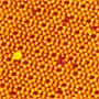 AFM Topographic Image of Si(111) surface -- HS-2000 Sample 1