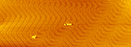 STM image of Au (111) herringbone structure -- 高真空STMシステム HS-1000 2