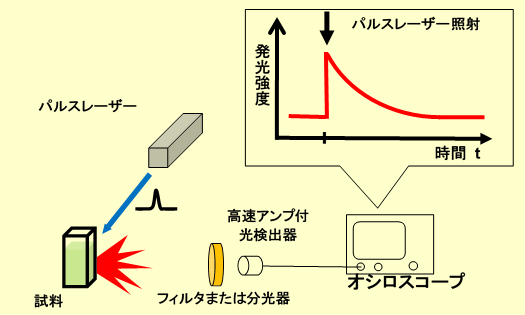 LSP-1000 システム構成