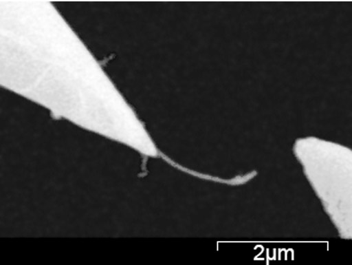 Cutting CNT by 2 probes -- ナノプローブ表面電気特性測定装置 Sample 4-1