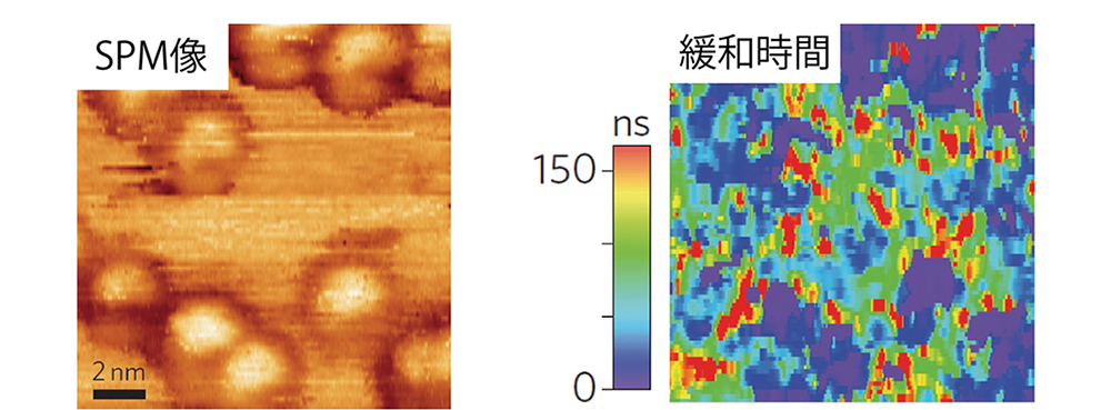 キャリア再結合ナノスケール観察、SPM像