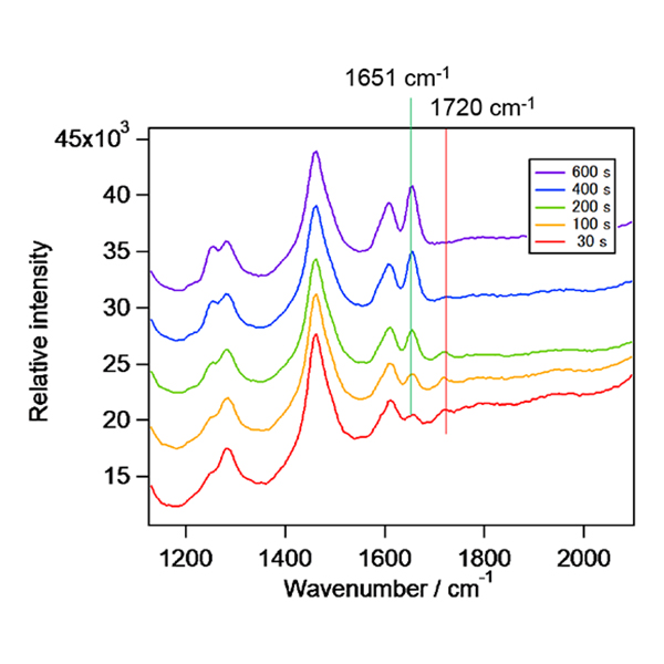反応中のラマンスペクトルの経時変化