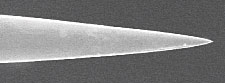 高性能STM用プローブ